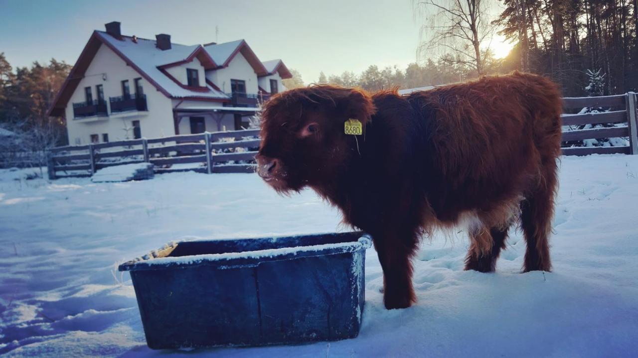 Zagroda Jakubka Myszyniec Exteriör bild